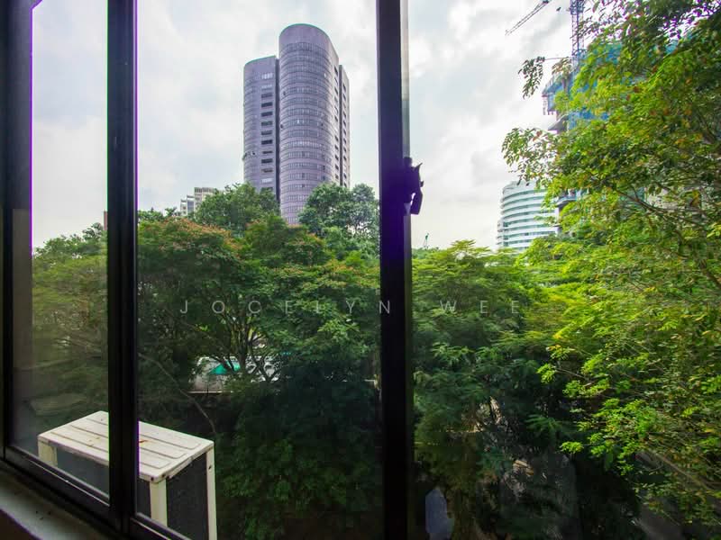 Kum Hing Court, 36 Tomlinson Road, 3 Bedrooms, 1,625 sqft, Apartment For Rent, by Jocelyn Wee, 19413427 - Views from Bedroom 3 - PropertyGuru.com.sg