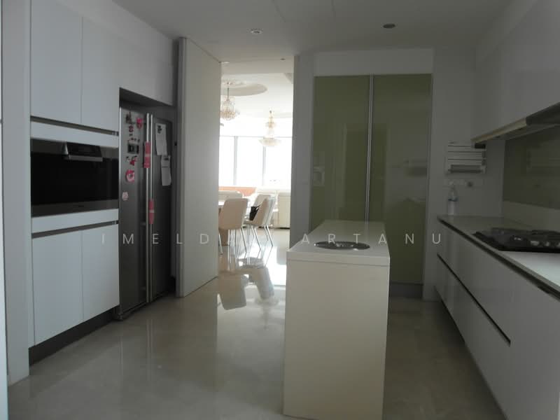 The Trillium, 116 Kim Seng Road, 4 Bedrooms, 2,218 sqft, Condominium For Rent, by Imelda Hartanu, 19464891 - Kitchen - PropertyGuru.com.sg