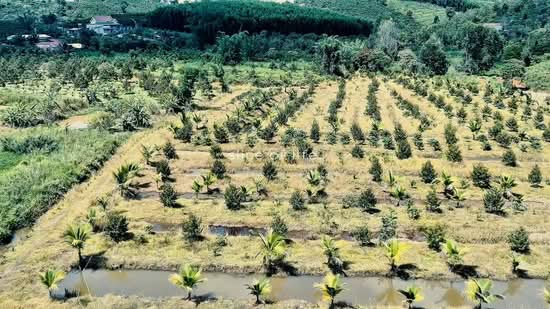 Đất thích hợp nuôi cá làm view nuôi cá