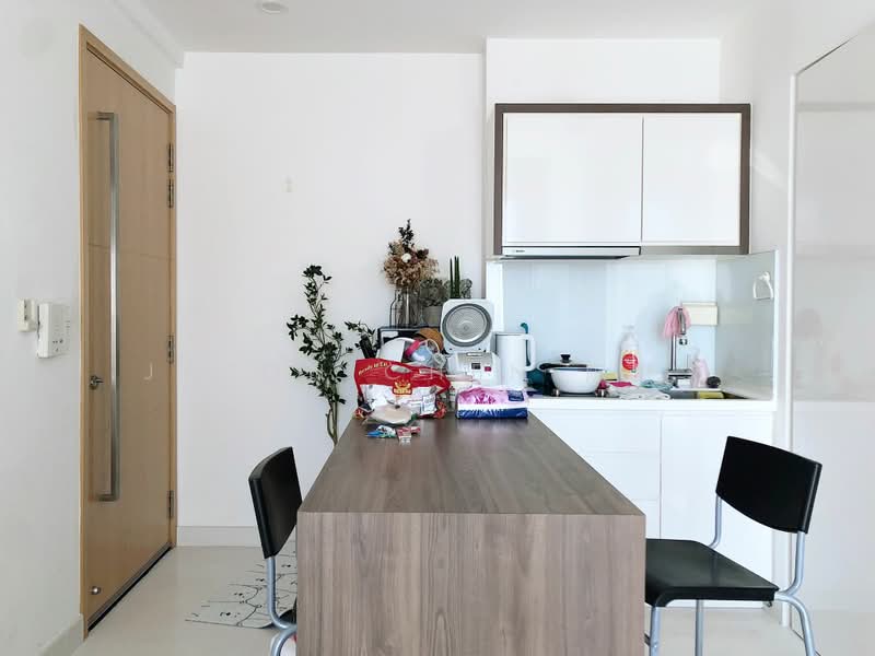 Casa Cambio, 11 Lim Tua Tow Road, 1 Bedroom, 539 sqft, Condominium For Rent, by Jason Chen 陈野文, 19490750 - Kitchen and Extendable Counter Space - PropertyGuru.com.sg