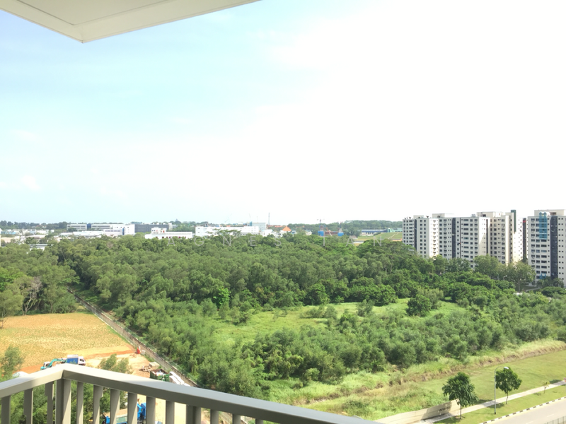Ripple Bay, 6 Pasir Ris Link, 1 Bedroom, 484 sqft, Condominium For Rent, by Agnes Tan, 19564540 - PropertyGuru.com.sg