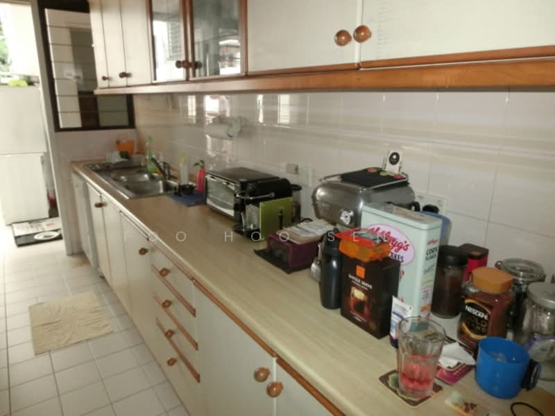 Tanglin Park, 1 Ridley Park, 3 Bedrooms, 1,335 sqft, Condominium For Rent, by Foo Hoo Seng, 19577550 - PropertyGuru.com.sg