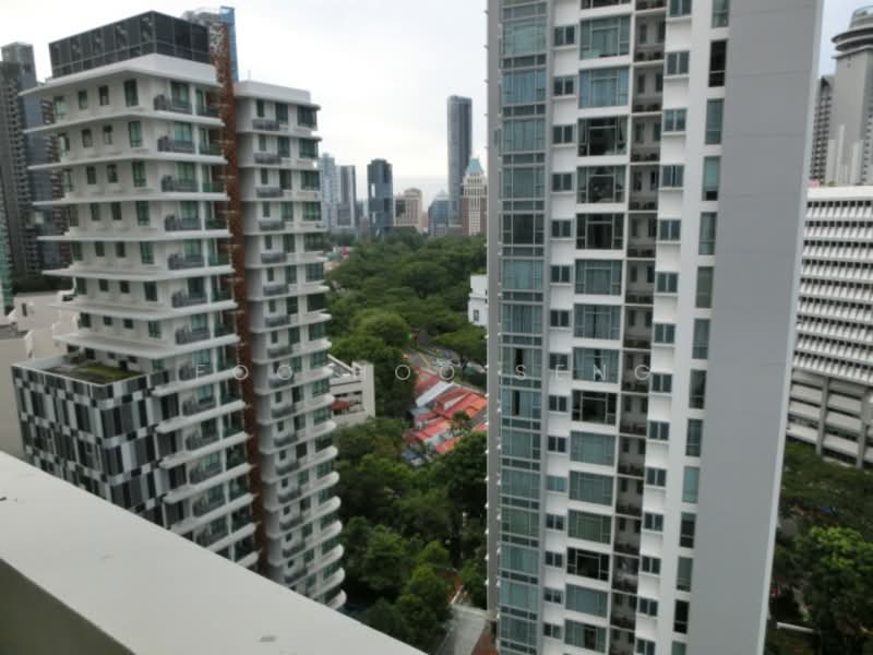 View from Unit 