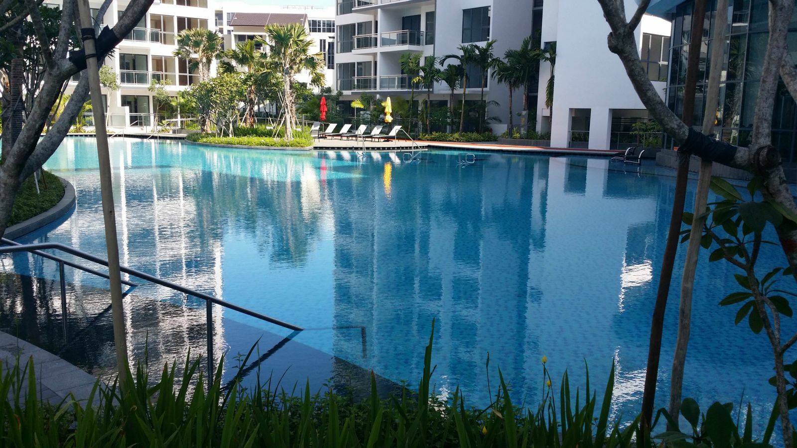 50 m lap pool
