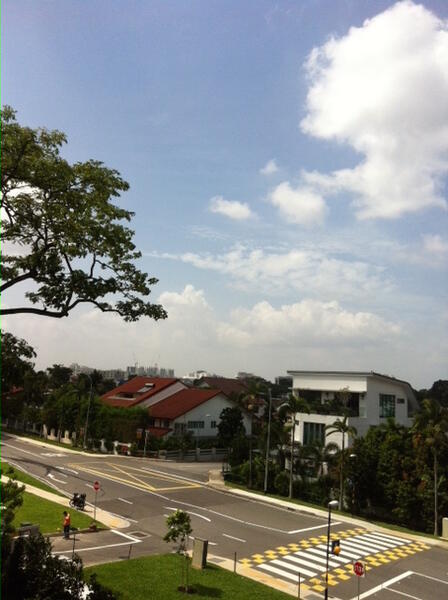 Greenery view from L