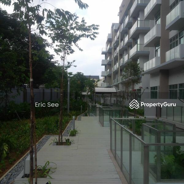 Garden Area