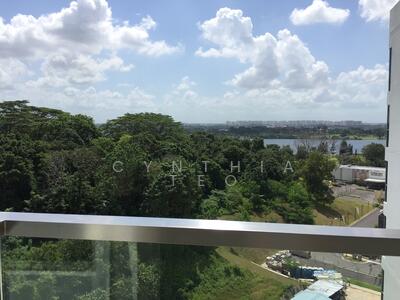 For Rent - Skies Miltonia