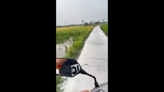 Bán đất 1000m2 Tân Túc gần cao tốc giá 1.7tỷ