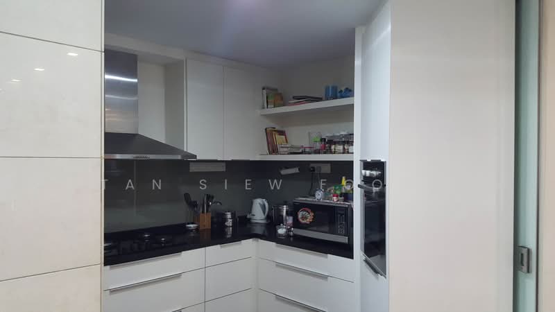 River Place, 60 Havelock Road, 4 Bedrooms, 2,067 sqft, Condominium For Rent, by Tan Siew Foong, 19796620 - EXTRA SPACIOUS - PropertyGuru.com.sg