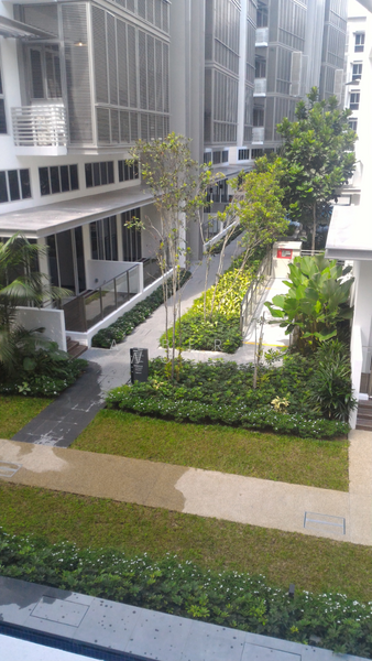 Euhabitat, Jalan Eunos, 1 Bedroom, 549 sqft, Condominium For Rent, by Albert Wong, 19803327 - Living Room View - PropertyGuru.com.sg