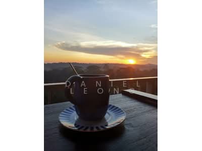 For Sale - Tree House