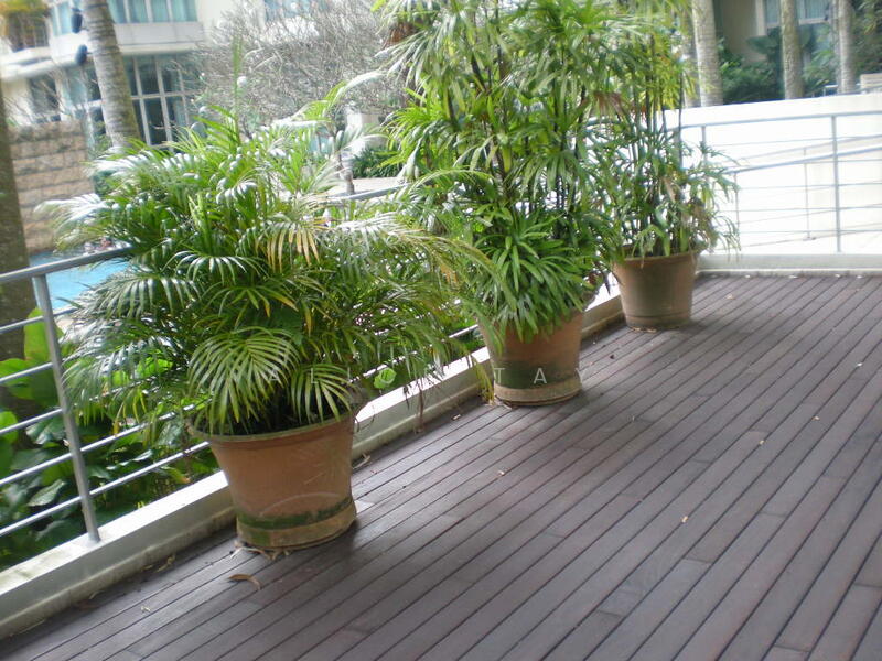 The Equatorial, 151 Stevens Road, 3 Bedrooms, 1,517 sqft, Condominium For Rent, by Alice Tay, 19835727 - PropertyGuru.com.sg