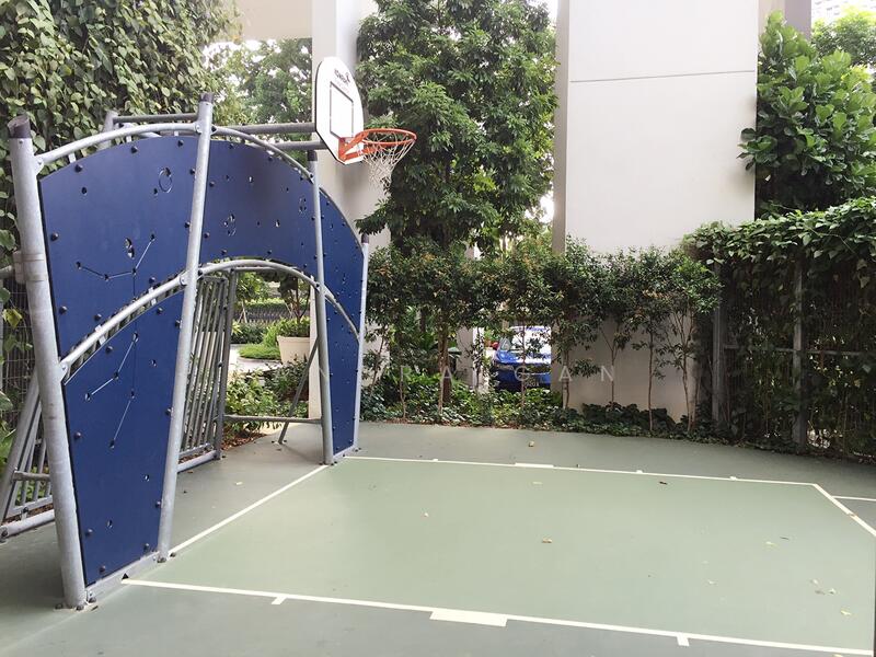 basketball court