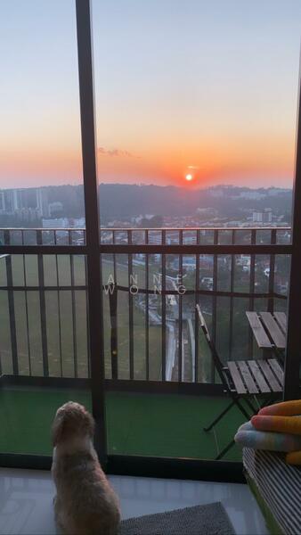 Daily Beautiful Sunset View....