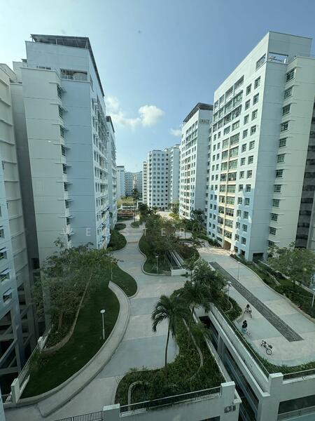 638A Punggol Drive, 638A Punggol Drive, 3 Bedrooms, 1,194 sqft, HDB Flat For Rent, by Webster Wu, 19916964 - PropertyGuru.com.sg