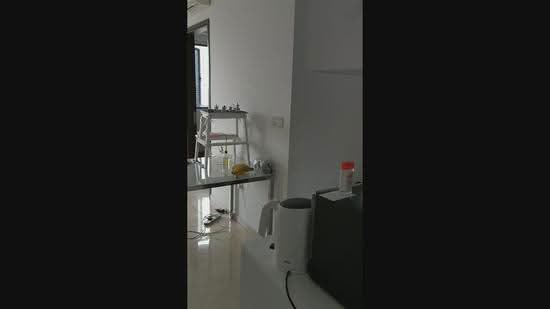 8M Residences, 8 Margate Road, East Coast / Marine Parade, 2 Bedrooms, 527 sqft, Condominium For Rent, by Jeff Chen, 19941147 - PropertyGuru.com.sg