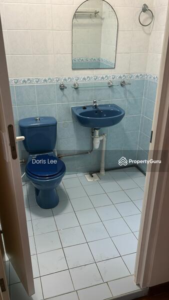 Master toilet