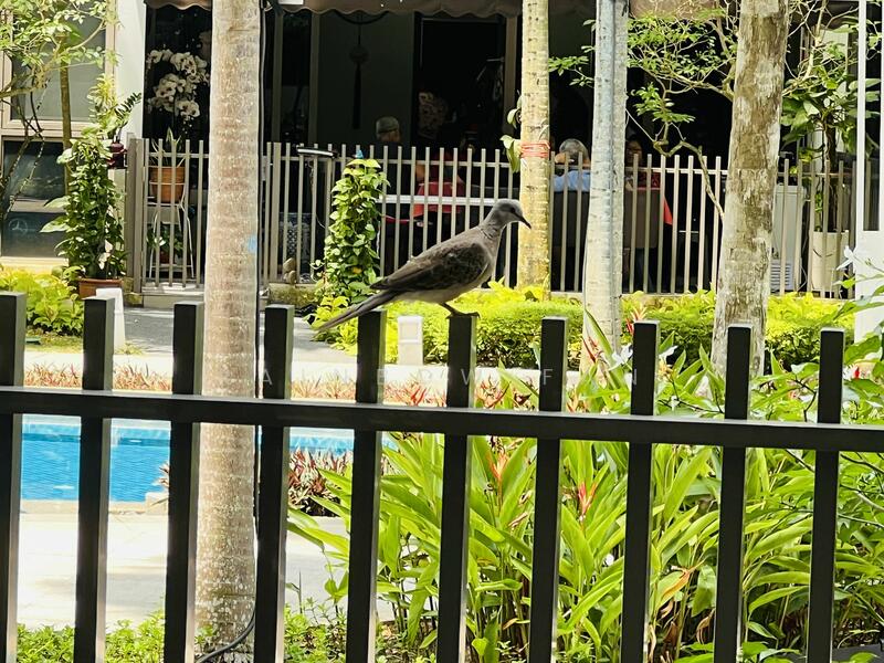 For Rent - The Inflora