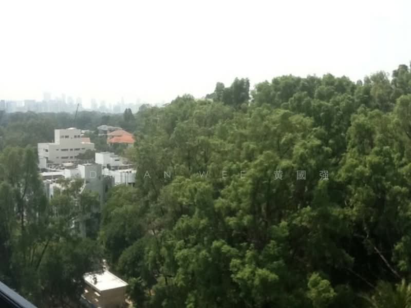 Parvis, 18 Holland Hill, 4 Bedrooms, 1,991 sqft, Condominium For Rent, by Adrian Wee 黄國强, 20079374 - PropertyGuru.com.sg