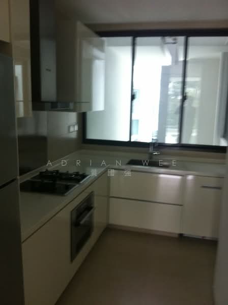 Parvis, 18 Holland Hill, 4 Bedrooms, 1,991 sqft, Condominium For Rent, by Adrian Wee 黄國强, 20079374 - PropertyGuru.com.sg