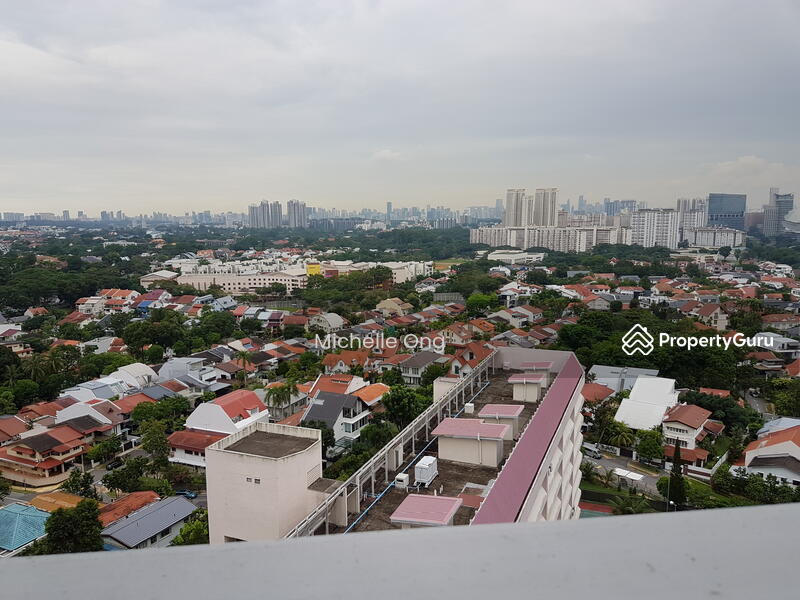 panoramic view