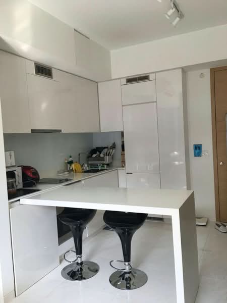 RV Residences, 463 River Valley Road, Studio, 419 sqft, Condominium For Rent, by Truddy Tan, 20124567 - PropertyGuru.com.sg