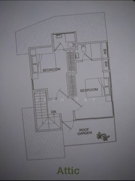 Siglap Hill 33, Siglap Hill, 5 Bedrooms, 4,000 sqft, Detached House For Rent, by Leah Tay, 20213060 - PropertyGuru.com.sg