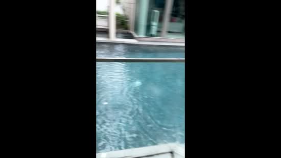 Siglap Hill 33, Siglap Hill, 5 Bedrooms, 4,000 sqft, Detached House For Rent, by Leah Tay, 20213060 - PropertyGuru.com.sg