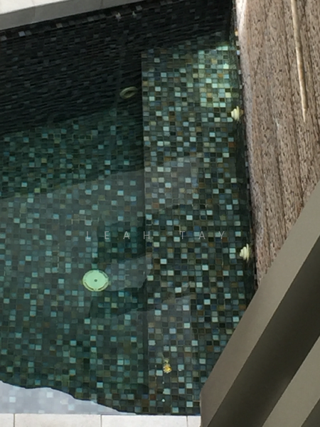 Siglap Hill 33, Siglap Hill, 5 Bedrooms, 4,000 sqft, Detached House For Rent, by Leah Tay, 20213060 - PropertyGuru.com.sg