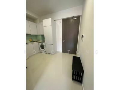 For Sale - Sycamore Tree