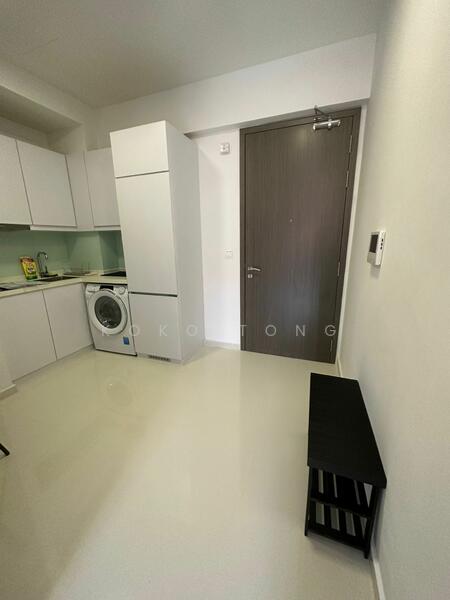 For Sale - Sycamore Tree