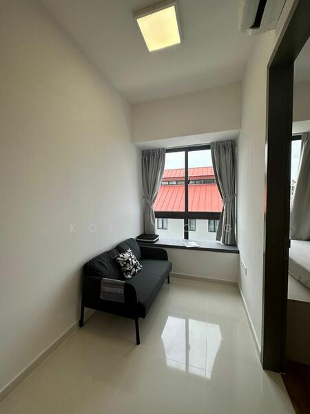 For Sale - Sycamore Tree