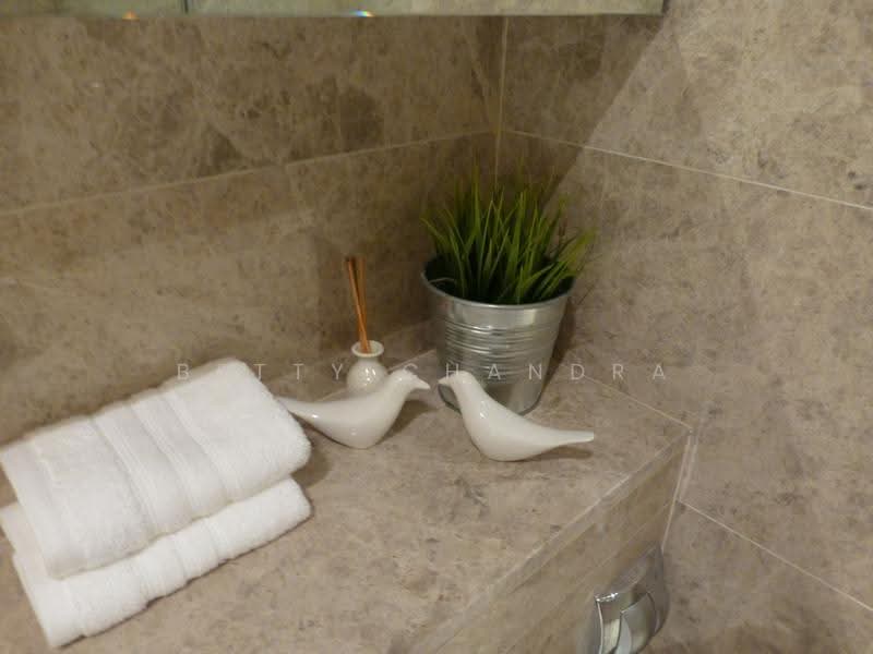 One Shenton, 1 Shenton Way, Boat Quay / Raffles Place / Marina, 1 Bedroom, 538 sqft, Apartment For Rent, by Betty Chandra, 20240028 - storage behind mirror - PropertyGuru.com.sg