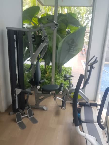 Loft @ Stevens, 68 Stevens Road, 1 Bedroom, 400 sqft, Condominium For Rent, by Alice Teo, 20282256 - PropertyGuru.com.sg