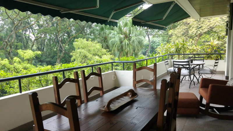 Lush Greenery view