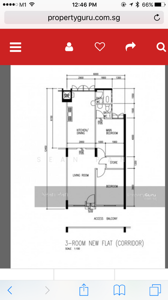 142 Petir Road, 142 Petir Road, 2 Bedrooms, 732 sqft, HDB Flat For Rent, by Sean Pan, 20290357 - 2Beds-732sqft - PropertyGuru.com.sg
