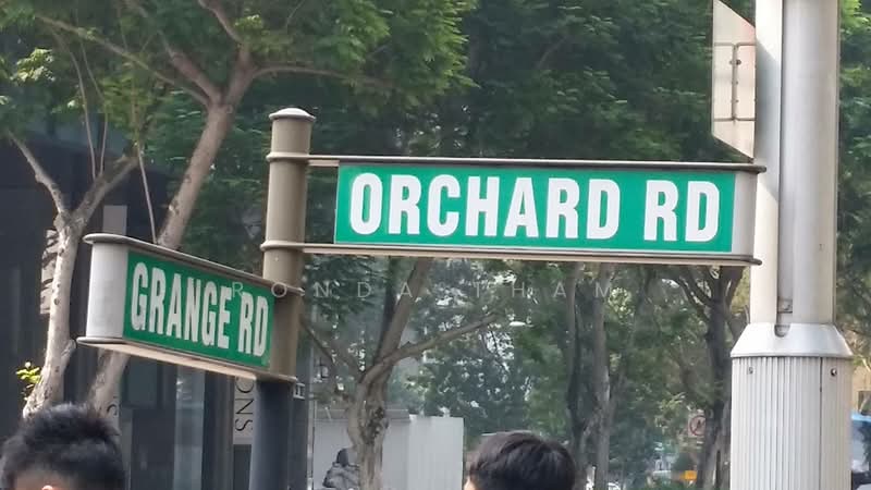 Orchard Building, 1 Grange Road, 1,431 sqft, Office For Rent, by Ronda Tham, 20300750 - CommercialGuru.com.sg