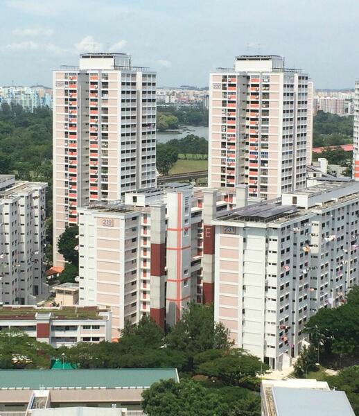For Rent - 238 Jurong East Street 21