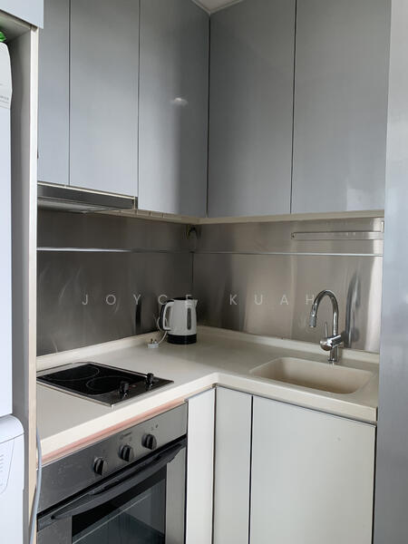 Pinnacle 16, 16 Shan Road, 1 Bedroom, 581 sqft, Condominium For Rent, by Joyce Kuah, 20349484 - PropertyGuru.com.sg