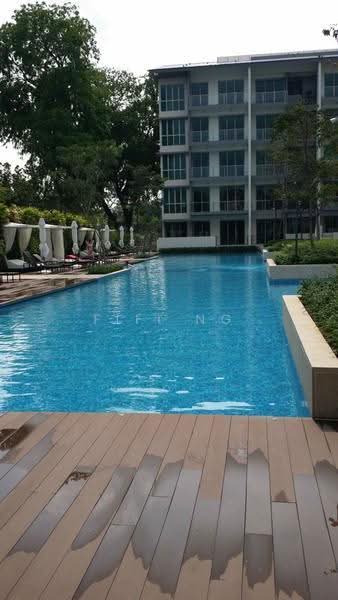 The Glyndebourne, 38 Trevose Crescent, Newton / Novena, 3 Bedrooms, 1,744 sqft, Condominium For Rent, by FiFi Ng, 20354185 - PropertyGuru.com.sg