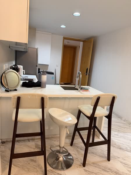 WaterScape @ Cavenagh, 65B Cavenagh Road, 1 Bedroom, 581 sqft, Condominium For Rent, by Victor Lee, 20362308 - PropertyGuru.com.sg