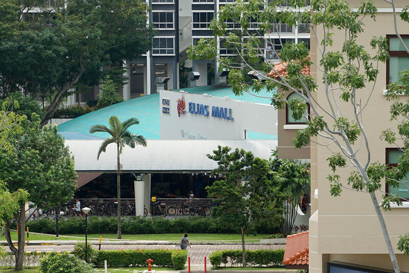Stratum, 80 Elias Road, 1 Bedroom, 452 sqft, Condominium For Rent, by BK Tan, 20364343 - PropertyGuru.com.sg