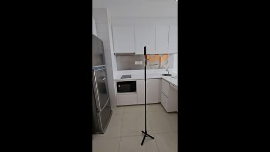Ripple Bay, 4 Pasir Ris Link, 1 Bedroom, 484 sqft, Condominium For Rent, by Chloe Low, 20366224 - PropertyGuru.com.sg