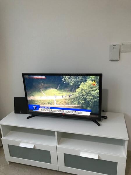 Tv and Tv console in living room