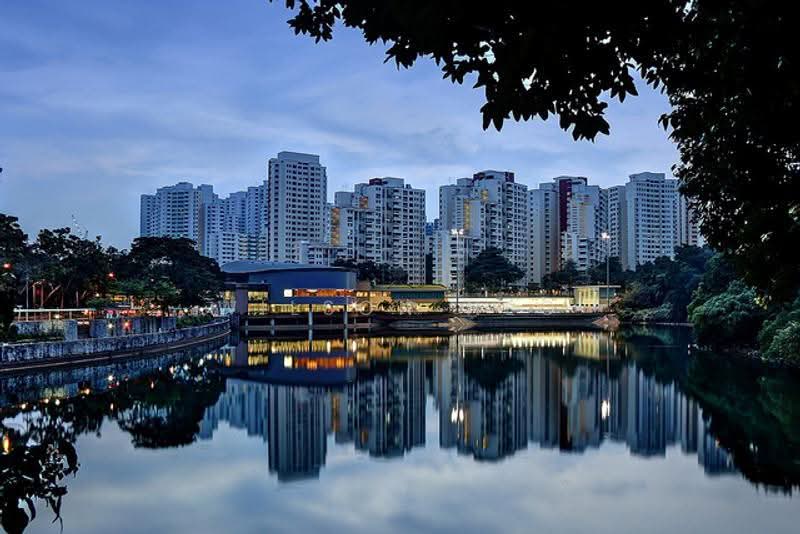 207 Petir Road, 207 Petir Road, Dairy Farm / Bukit Panjang / Choa Chu Kang, 3 Bedrooms, 1,119 sqft, HDB Flat For Rent, by Wilson Neo, 20413913 - PropertyGuru.com.sg
