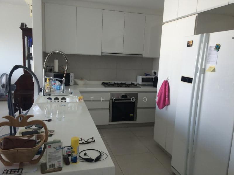 The Rochester Residences, 33 Rochester Drive, Buona Vista / West Coast / Clementi New Town, 3 Bedrooms, 1,701 sqft, Apartment For Rent, by Cathy Goh, 20420922 - kitchen - PropertyGuru.com.sg