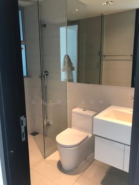 The Rochester Residences, 33 Rochester Drive, Buona Vista / West Coast / Clementi New Town, 3 Bedrooms, 1,701 sqft, Apartment For Rent, by Cathy Goh, 20420922 - common bathroom - PropertyGuru.com.sg