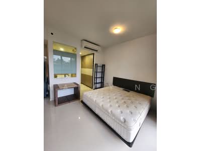 For Rent - The Rainforest