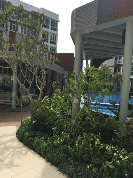 The Hillford, 180 Jalan Jurong Kechil, Clementi Park / Upper Bukit Timah, 1 Bedroom, 430 sqft, Apartment For Rent, by Jacqueline Cham (詹瑞凌), 20431170 - PropertyGuru.com.sg