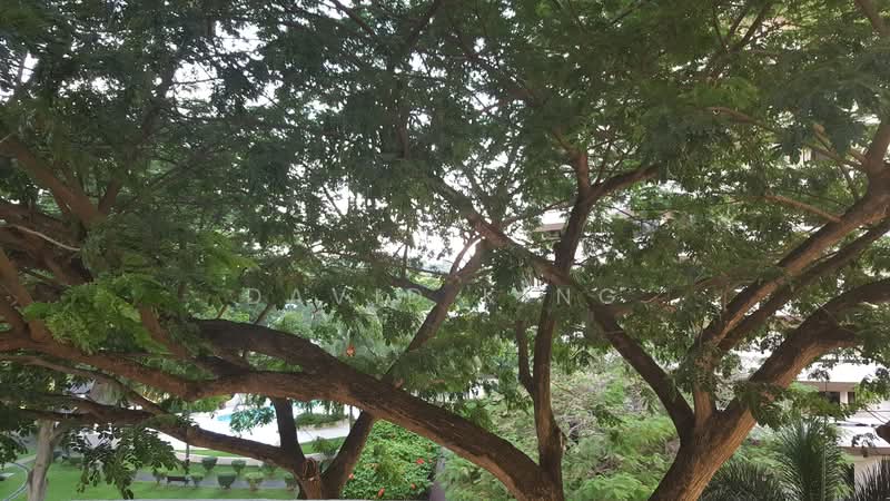 Hawaii Tower, 73 Meyer Road, 3 Bedrooms, 2,238 sqft, Condominium For Rent, by David King, 20449275 - PropertyGuru.com.sg